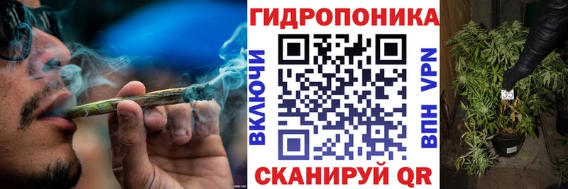 Купить Шенкурск ГАШИШ Каннабис Псилоцибиновые грибы APVP Мефедрон КОКАИН