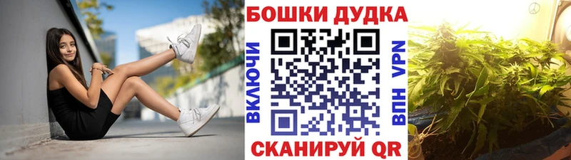 Шишки марихуана ГИДРОПОН сколько стоит Шенкурск